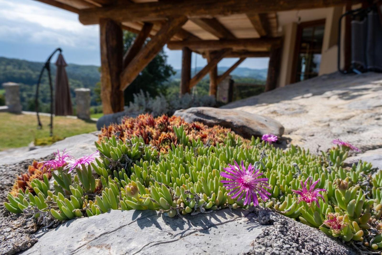 Zerko Holiday Home - Vineyard Chalet With Sauna And Jacuzzi Free Mirna Esterno foto