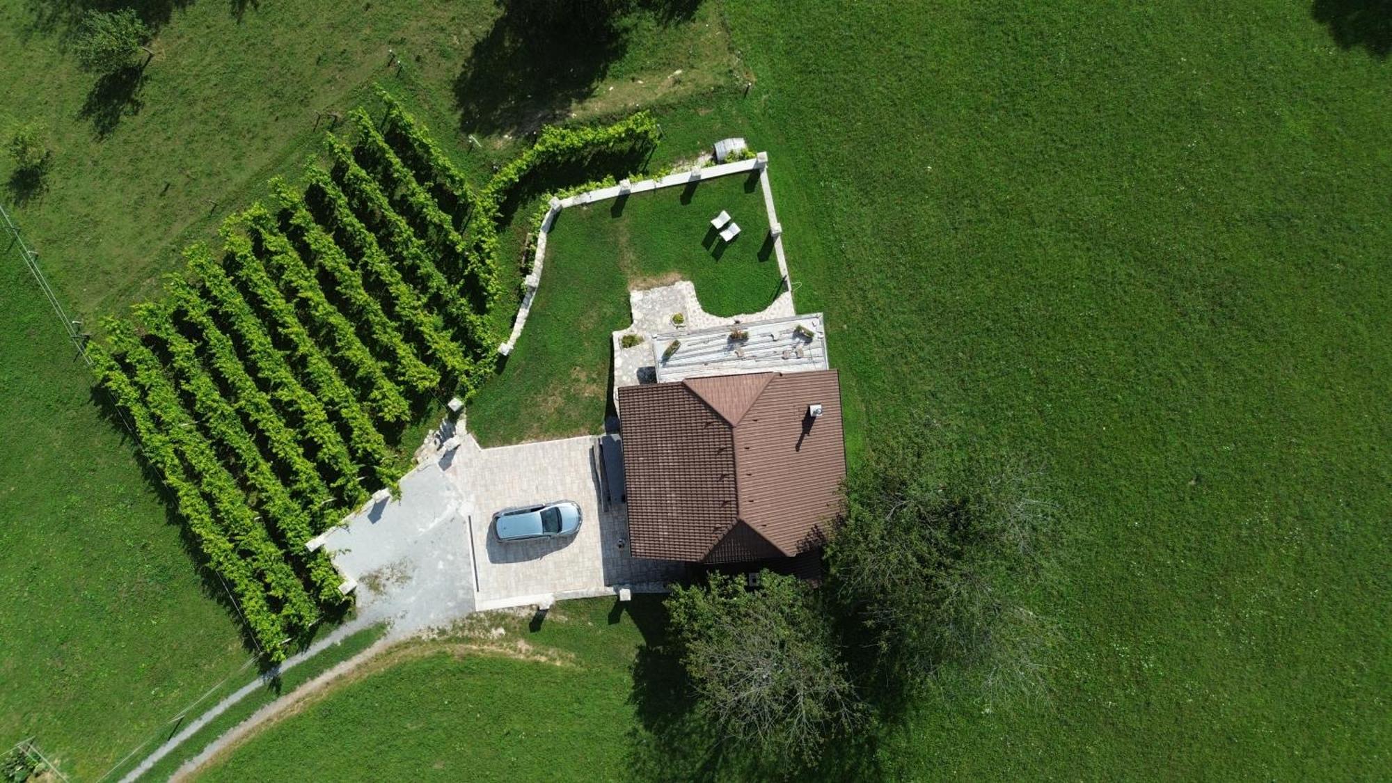 Zerko Holiday Home - Vineyard Chalet With Sauna And Jacuzzi Free Mirna Esterno foto